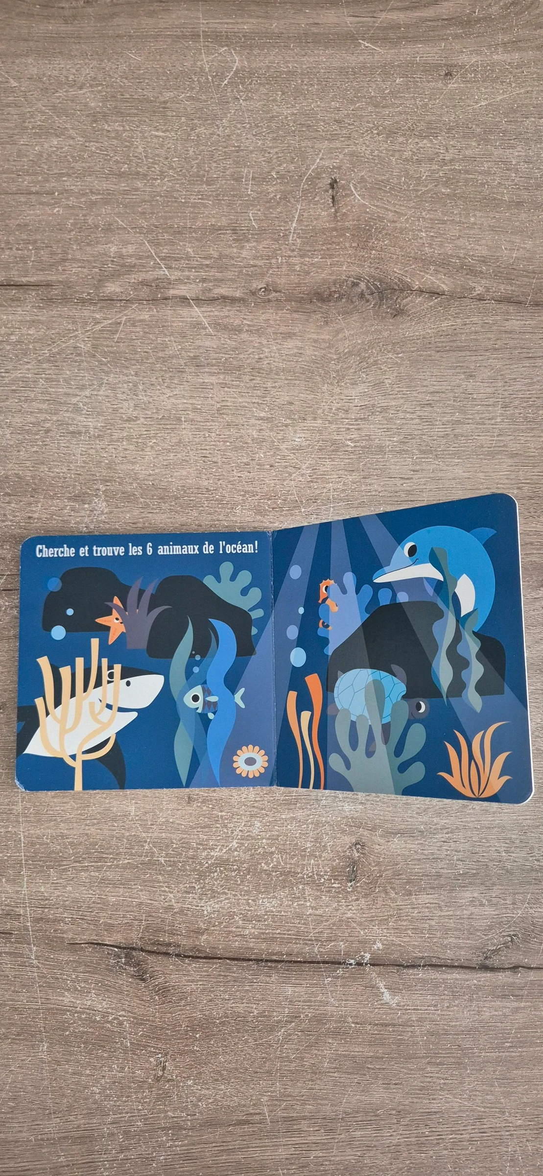 Imagier J'apprends les animaux Banquise et Océan – photo 10